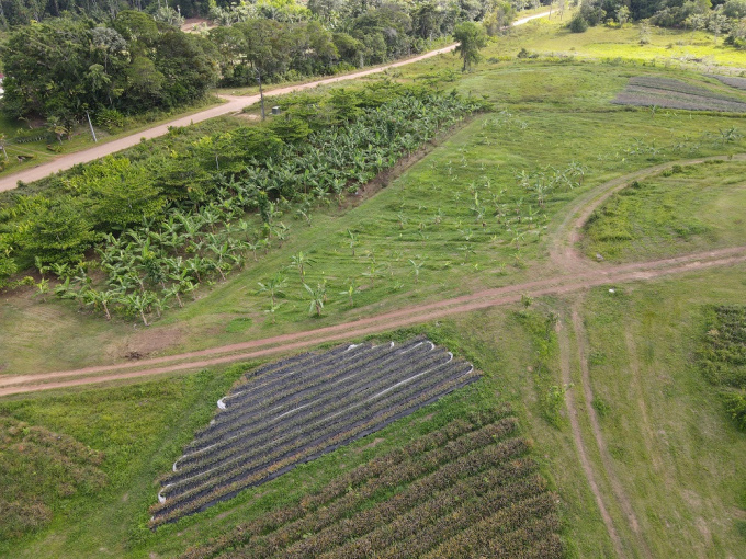 Offres de vente Terrain Montsinéry-Tonnegrande (97356)