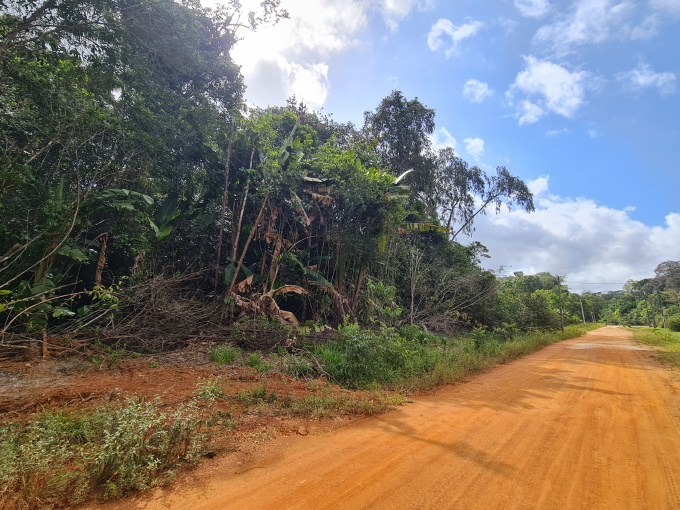 Offres de vente Terrain Montsinéry-Tonnegrande (97356)