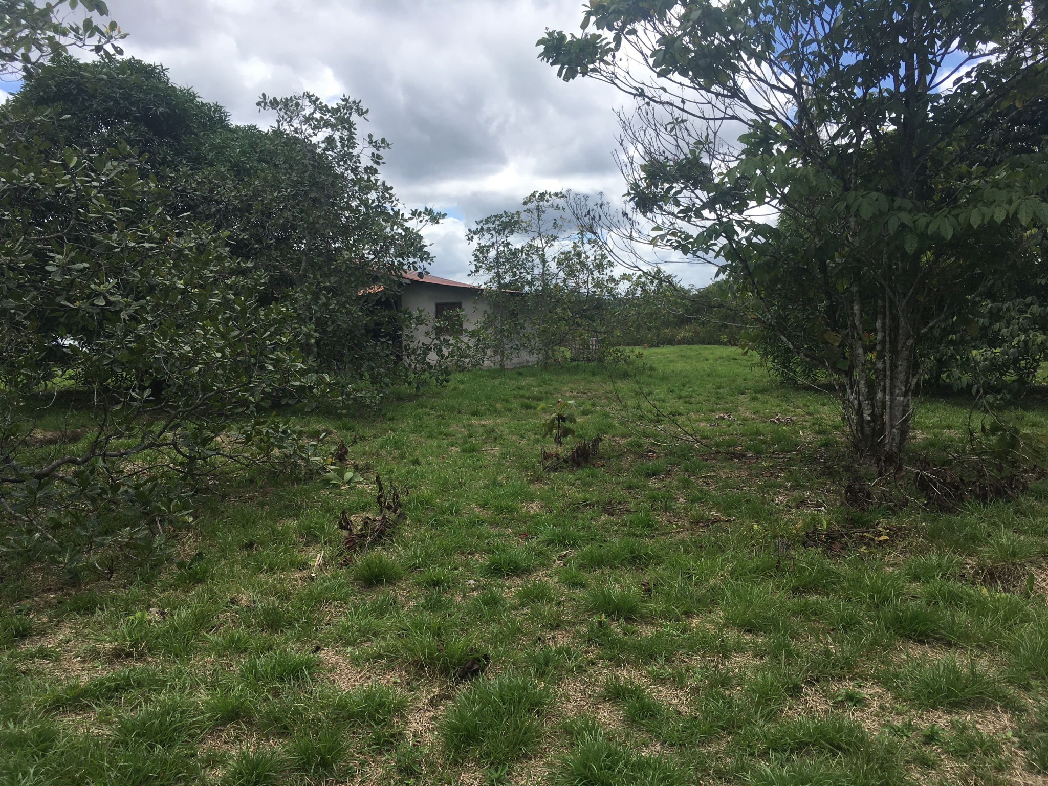 vente Terrain agricole avec petite maison
